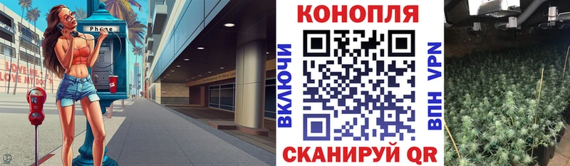 Кодеин Курчалой