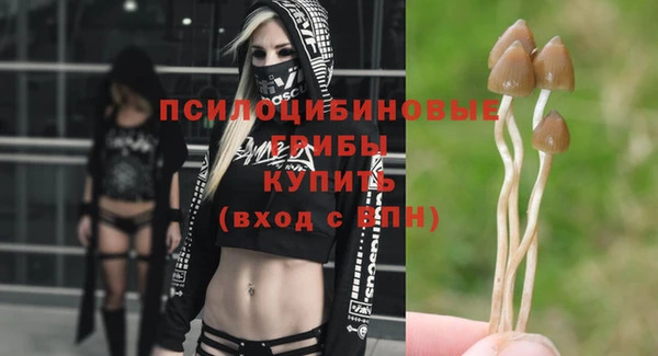 Альфа ПВП Алзамай