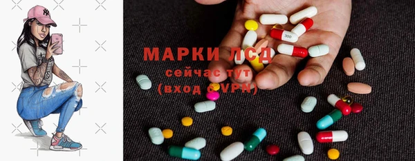 крисы Ельня