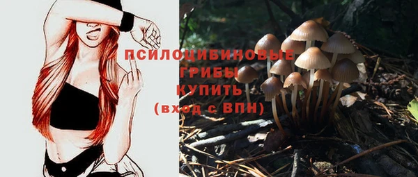 ПСИЛОЦИБИНОВЫЕ ГРИБЫ Алексеевка