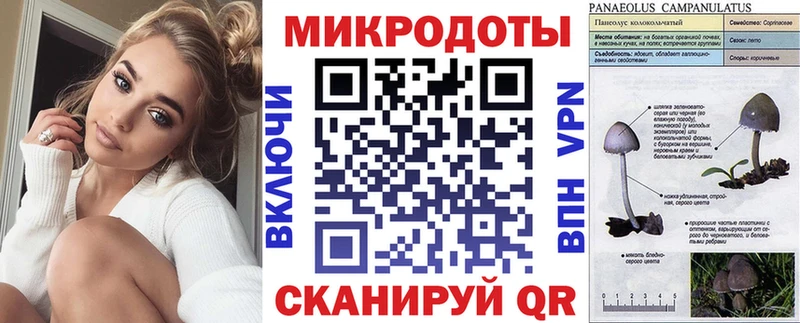 Псилоцибиновые грибы ЛСД Курчалой