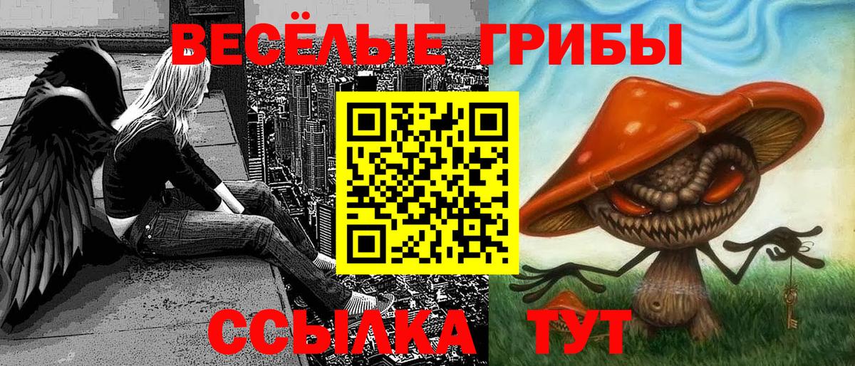 Галлюциногенные грибы мицелий  Вход с VPN  Псилоцибиновые грибы Psilocybine cubensis  Курчалой 